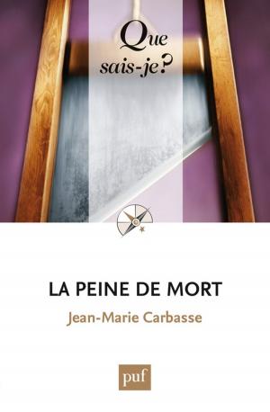 Cover of the book La peine de mort by Philippe Maubant