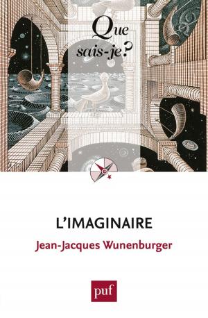 Cover of the book L'imaginaire by John Rogers, Yves Charles Zarka, Franck Lessay