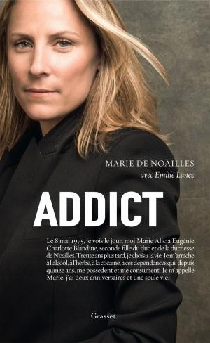 Cover of the book Addict by Max Gallo