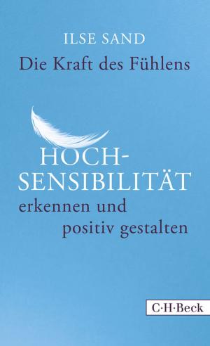 Cover of the book Die Kraft des Fühlens by Helmuth Kiesel