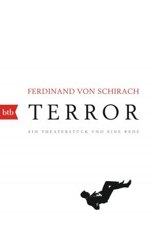 Cover of the book Terror by Beate Teresa Hanika