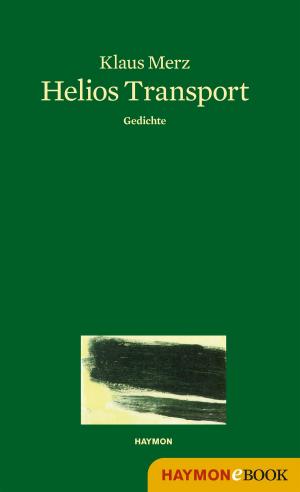 Cover of the book Helios Transport by Peter Wehle