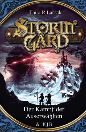 Book cover of Stormgard: Der Kampf der Auserwählten