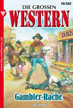Cover of the book Die großen Western 163 by G.F. Barner