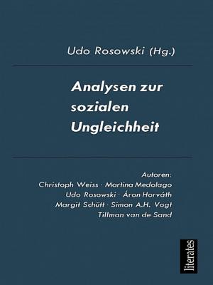 Cover of the book Analysen zur sozialen Ungleichheit by Soso Soso