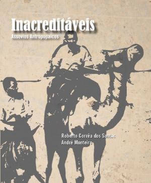 Book cover of Inacreditáveis