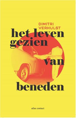 Cover of the book Het leven gezien van beneden by Renate Rubinstein