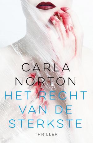 Cover of the book Het recht van de sterkste by Ingrid Dykstra