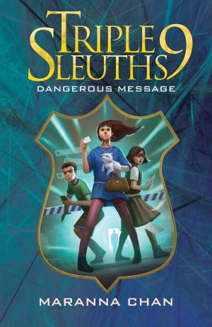 Cover of the book Triple Nine Sleuths by Simone PAZ