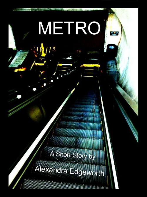 Cover of the book Metro by Alexandra Edgeworth, Yaverse Books