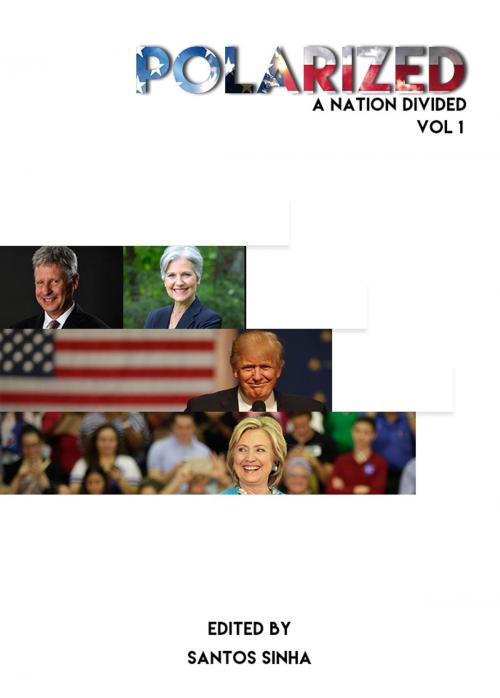 Cover of the book Polarized by Santos Sinha, Vote.us.org