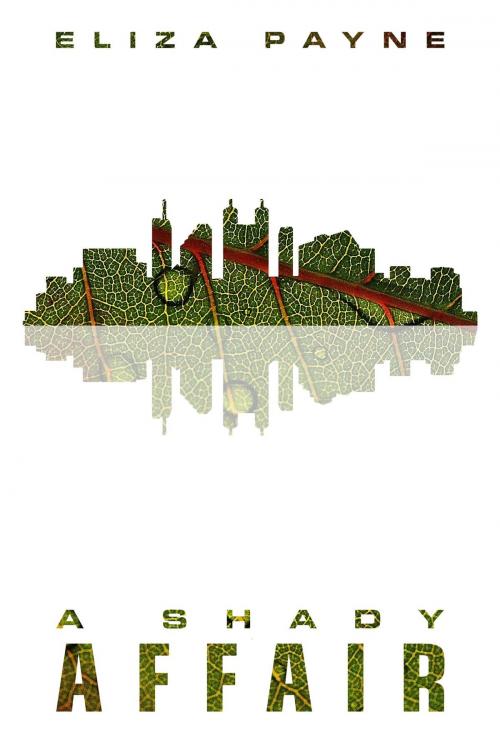 Cover of the book A Shady Affair by Eliza Payne, Eliza Payne