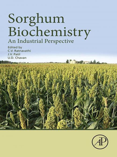 Cover of the book Sorghum Biochemistry by CV Ratnavathi, Jagannath Vishnu Patil, UD Chavan, Elsevier Science