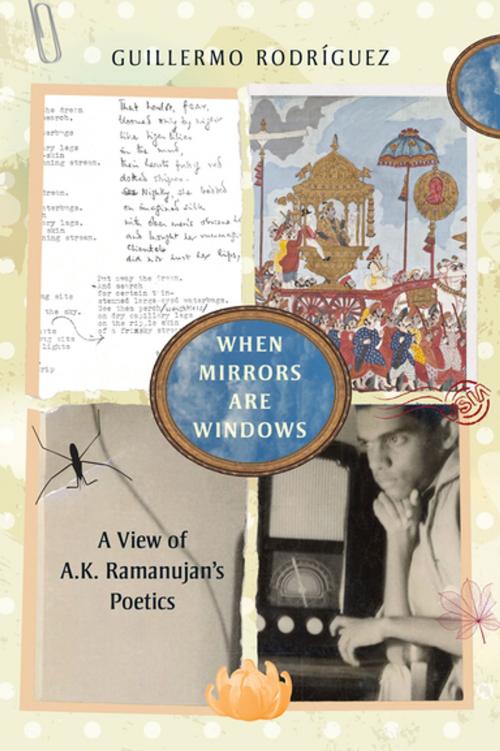 Cover of the book When Mirrors Are Windows by Guillermo Rodríguez, OUP India