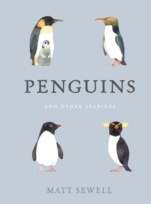 Cover of the book Penguins and Other Seabirds by Matt Sewell, Potter/Ten Speed/Harmony/Rodale