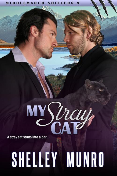 Cover of the book My Stray Cat by Shelley Munro, Munro Press