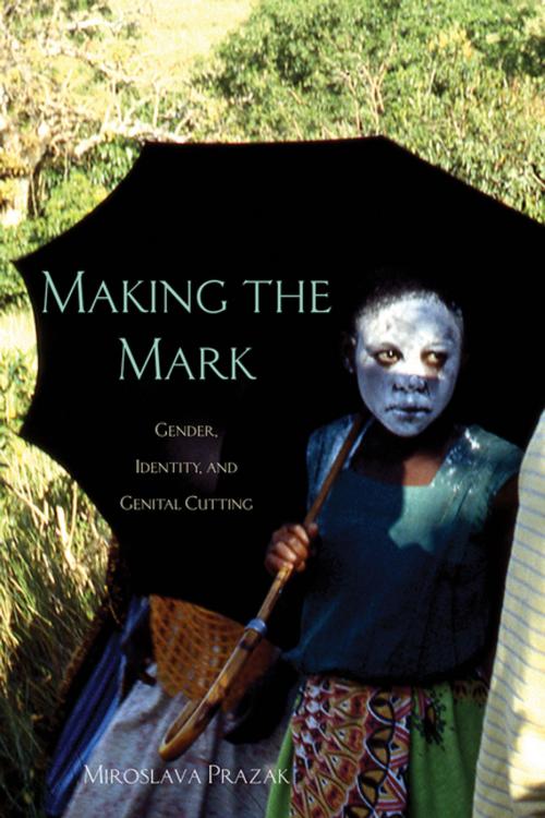 Cover of the book Making the Mark by Miroslava Prazak, Ohio University Press