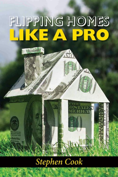 Cover of the book FLIPPING HOMES LIKE A PRO by Stephen Cook, Lifeonaire Promotions, LLC