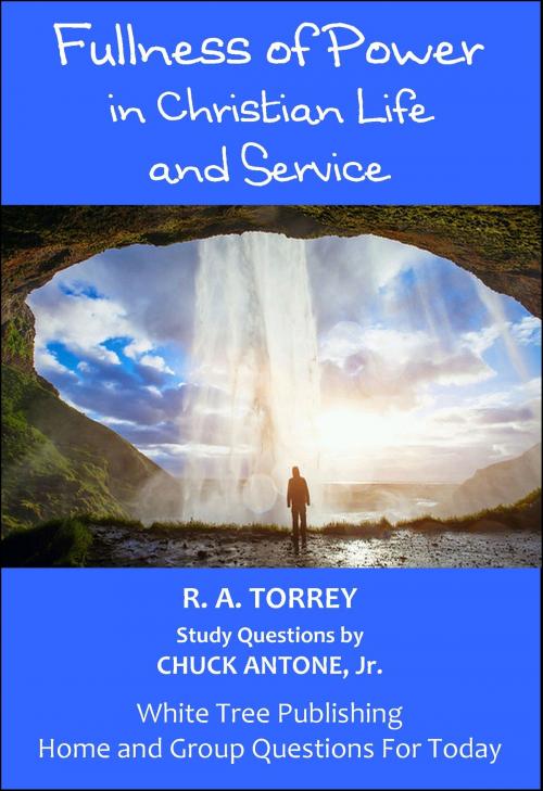 Cover of the book Fullness of Power in Christian Life and Service, Home and Group Questions for Today by R A Torrey, Chuck Antone, Jr., White Tree Publishing