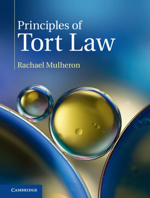 Cover of the book Principles of Tort Law by Rachael Mulheron, Cambridge University Press