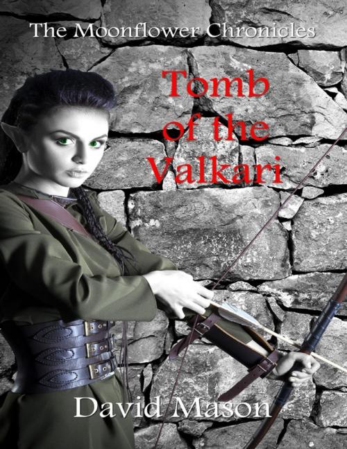 Cover of the book Tomb of the Valkari by David Mason, Lulu.com