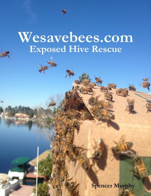 Cover of the book Wesavebees.com: Exposed Hive Rescue by Spencer Murphy, Lulu.com