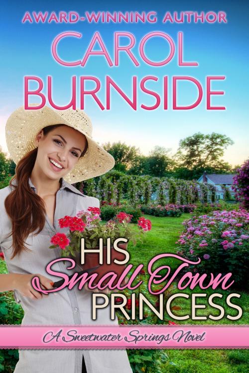 Cover of the book His Small Town Princess by Carol Burnside, B and R Bookery