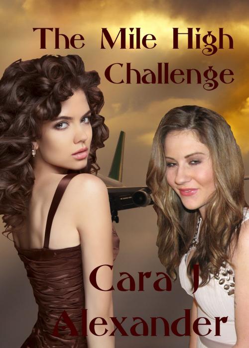Cover of the book The Mile High Challenge by Cara J Alexander, Cara J Alexander