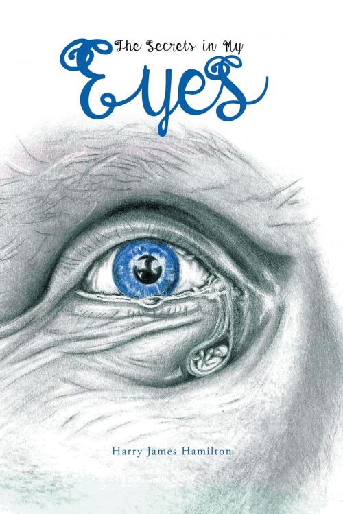 Cover of the book The Secrets in My Eyes by Harry James Hamilton, FriesenPress