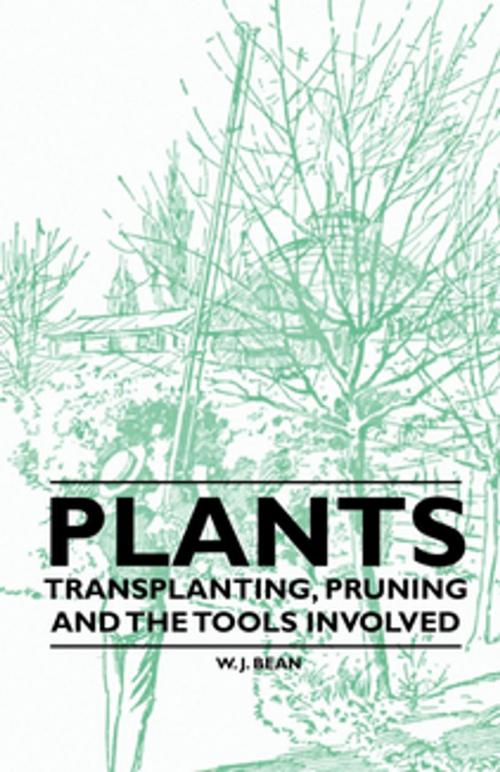 Cover of the book Plants - Transplanting, Pruning and the Tools Involved by W. J. Bean, Read Books Ltd.