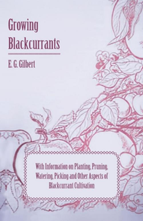 Cover of the book Growing Blackcurrants - With Information on Planting, Pruning, Watering, Picking and Other Aspects of Blackcurrant Cultivation by E. G. Gilbert, Read Books Ltd.