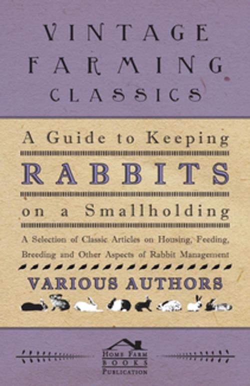 Cover of the book A Guide to Keeping Rabbits on a Smallholding - A Selection of Classic Articles on Housing, Feeding, Breeding and Other Aspects of Rabbit Management by Various, Read Books Ltd.