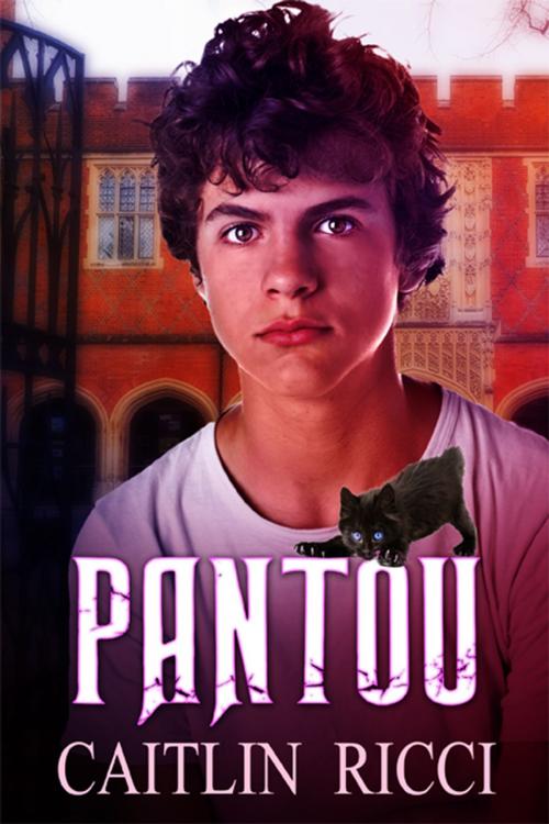 Cover of the book Pantou by Caitlin Ricci, eXtasy Books Inc
