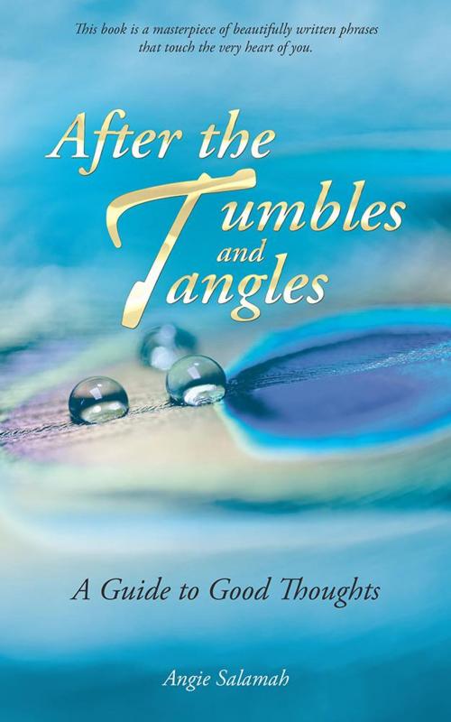 Cover of the book After the Tumbles and Tangles by Angie Salamah, Balboa Press AU