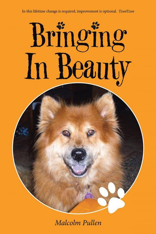 Cover of the book Bringing in Beauty by Malcolm Pullen, Balboa Press