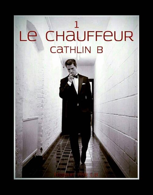 Cover of the book LE CHAUFFEUR by Cathlin B, Babelcube Inc.