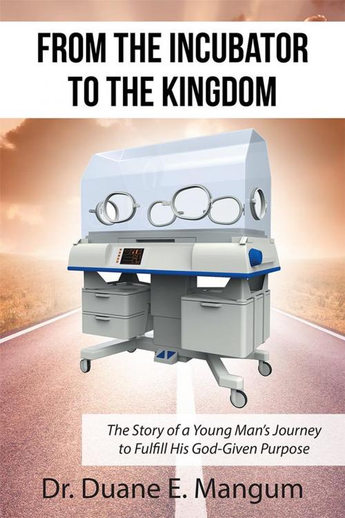 Cover of the book From the Incubator to the Kingdom by Dr. Duane E. Mangum, WestBow Press