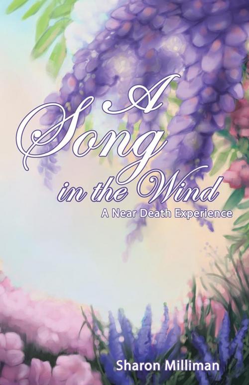 Cover of the book A Song in the Wind by Sharon Milliman, WestBow Press