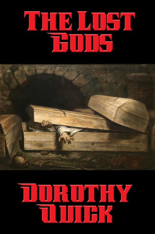 Cover of the book The Lost Gods by Dorothy Quick, Wilder Publications, Inc.