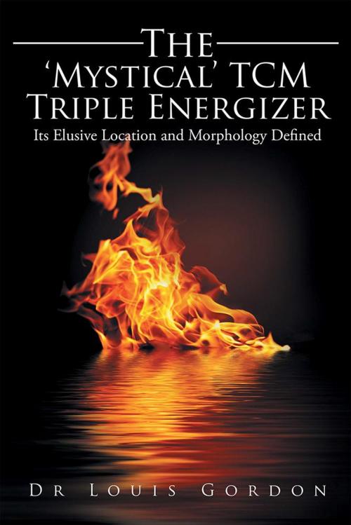 Cover of the book The ‘Mystical’ Tcm Triple Energizer by Louis Gordon, Xlibris AU