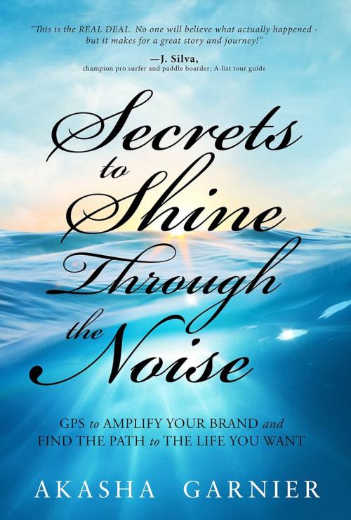 Cover of the book Secrets to Shine Through the Noise by Akasha Garnier, Motivational Press