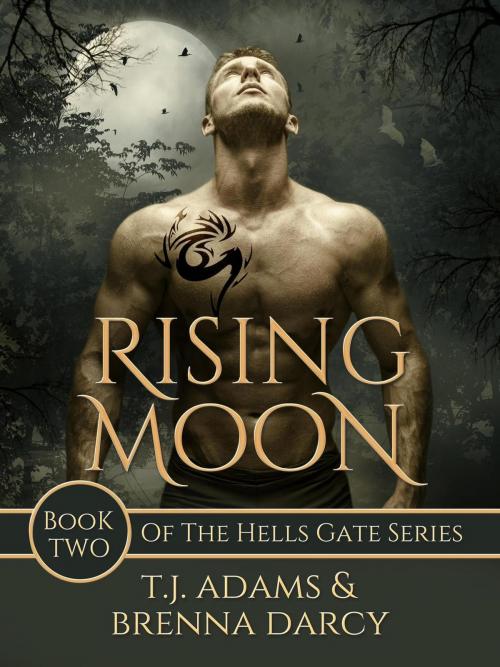 Cover of the book Rising Moon by Brenna Darcy, TJ Adams, Dark Sisters Press