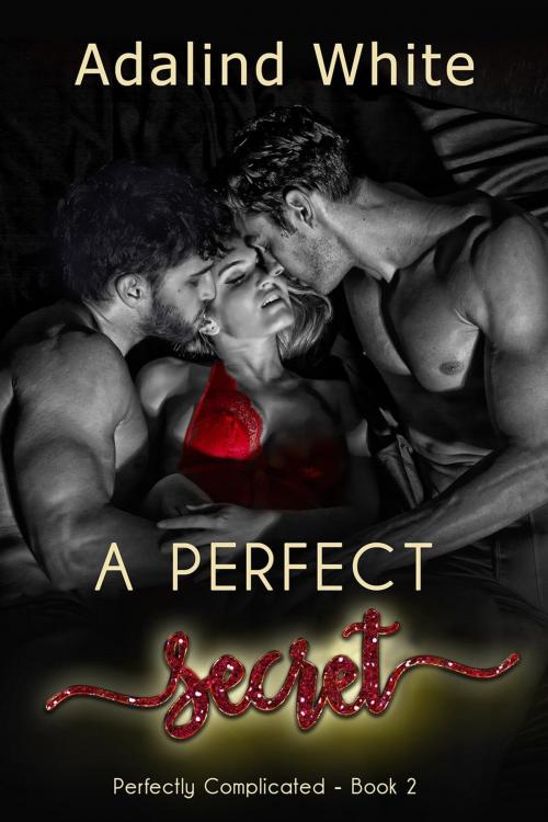 Cover of the book A Perfect Secret by Adalind White, Blue Coffee Books