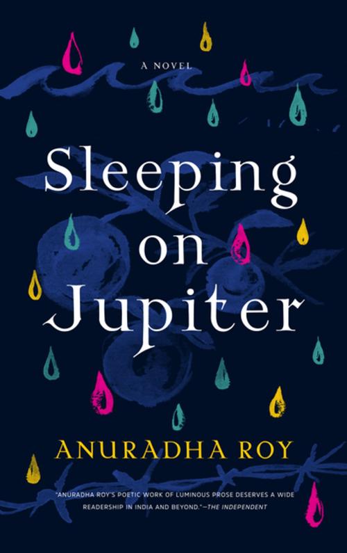 Cover of the book Sleeping on Jupiter by Anuradha Roy, Graywolf Press