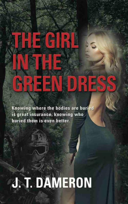 Cover of the book The Girl in the Green Dress by J. T. Dameron, BookLocker.com, Inc.