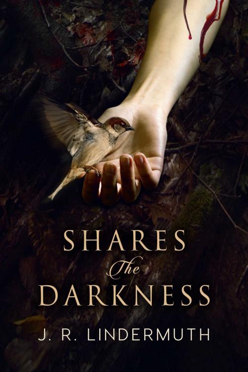 Cover of the book Shares the Darkness by J.R. Lindermuth, Torrid Books