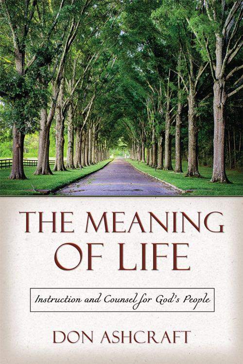 Cover of the book The Meaning of Life by Don Ascraft, Redemption Press