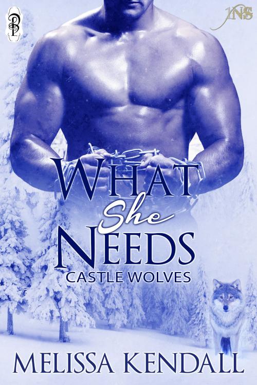 Cover of the book What She Needs (1Night Stand) by Melissa Kendall, Decadent Publishing Company
