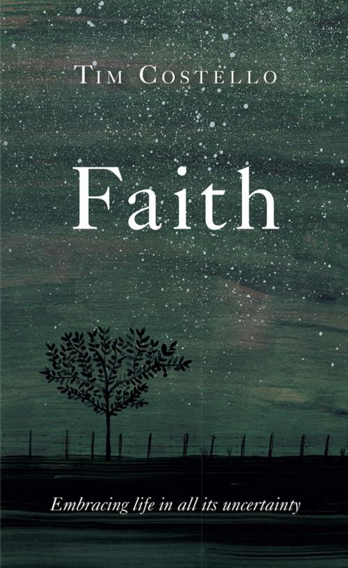 Cover of the book Faith by Tim Costello, Hardie Grant