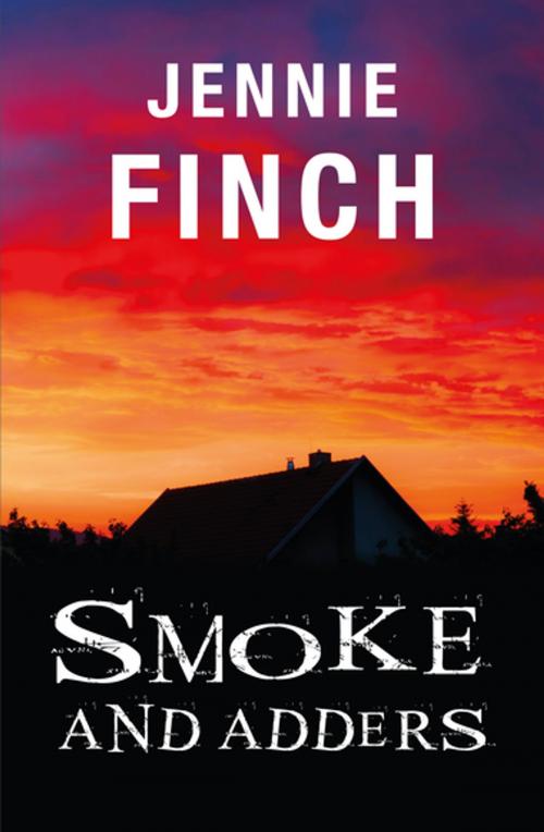 Cover of the book Smoke and Adders by Jennie Finch, Impress Books